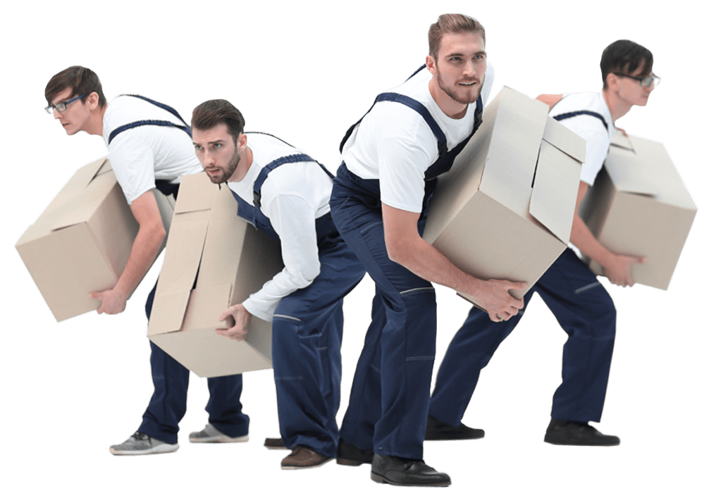 Mitarbeiter Umzüge24Plus Mitarbeiter Umzüge24Plus